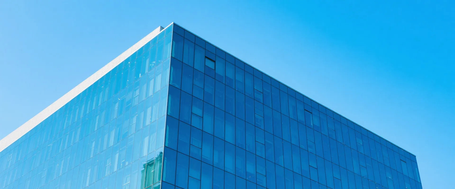 华体会体育总部